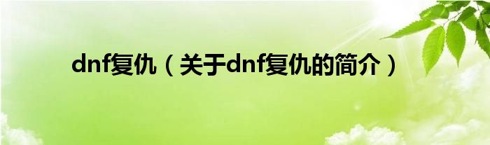 dnf復(fù)仇（關(guān)于dnf復(fù)仇的簡介）