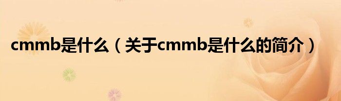 cmmb是什么（關(guān)于cmmb是什么的簡(jiǎn)介）