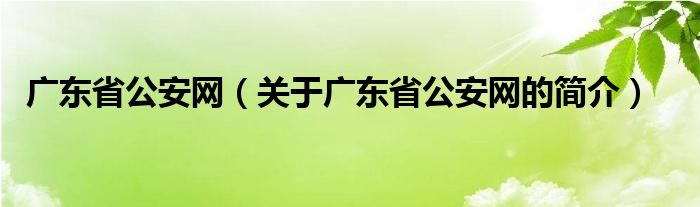 廣東省公安網(wǎng)（關(guān)于廣東省公安網(wǎng)的簡介）