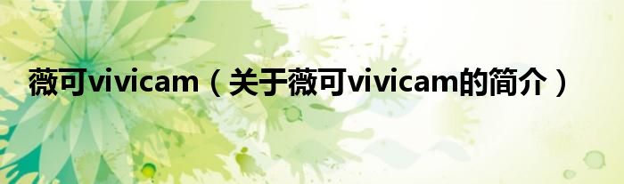 薇可vivicam（關(guān)于薇可vivicam的簡介）