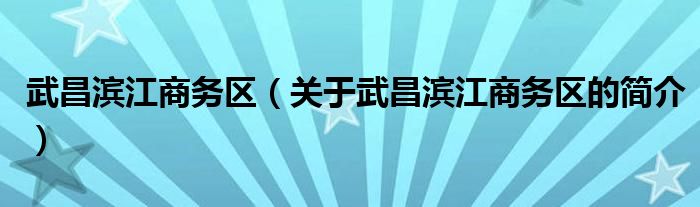 武昌濱江商務(wù)區(qū)（關(guān)于武昌濱江商務(wù)區(qū)的簡介）