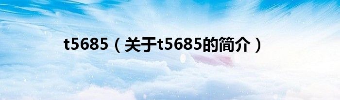 t5685（關(guān)于t5685的簡(jiǎn)介）