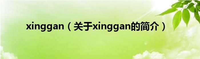 xinggan（關(guān)于xinggan的簡介）