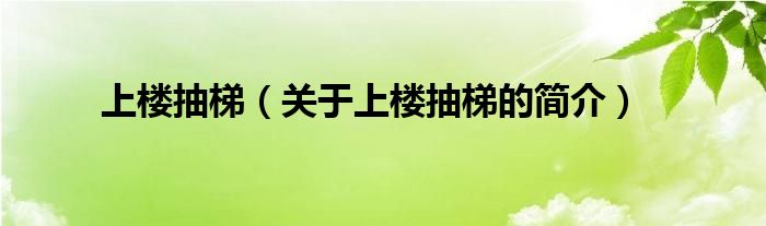 上樓抽梯（關(guān)于上樓抽梯的簡介）