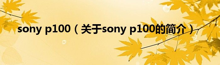 sony p100（關(guān)于sony p100的簡介）