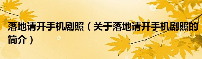 落地請開手機(jī)劇照（關(guān)于落地請開手機(jī)劇照的簡介）