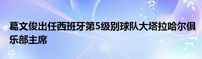 葛文俊出任西班牙第5級(jí)別球隊(duì)大塔拉哈爾俱樂部主席