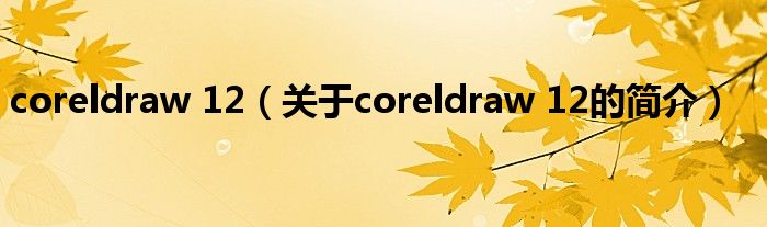 coreldraw 12（關于coreldraw 12的簡介）