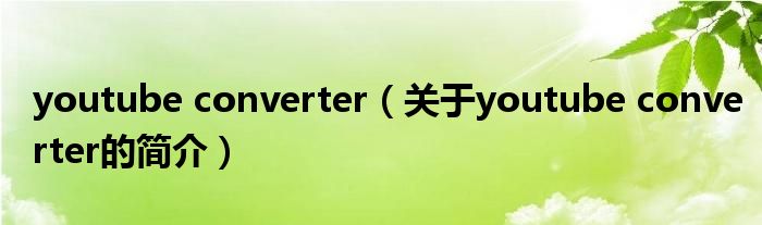 youtube converter（關于youtube converter的簡介）