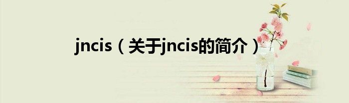 jncis（關(guān)于jncis的簡(jiǎn)介）