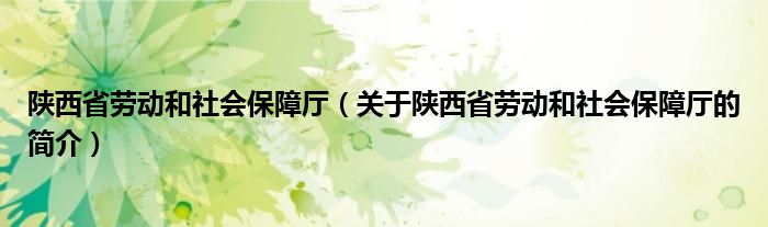 陜西省勞動和社會保障廳（關(guān)于陜西省勞動和社會保障廳的簡介）