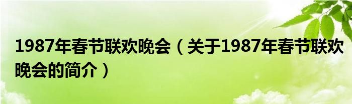 1987年春節(jié)聯(lián)歡晚會（關(guān)于1987年春節(jié)聯(lián)歡晚會的簡介）