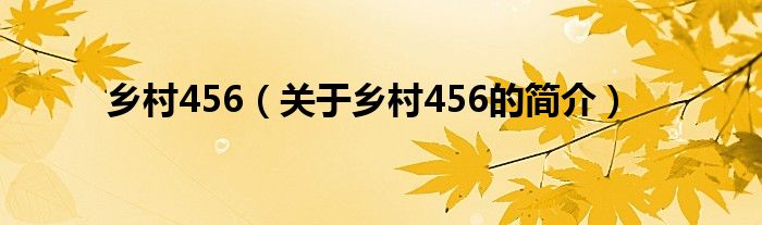 鄉(xiāng)村456（關于鄉(xiāng)村456的簡介）