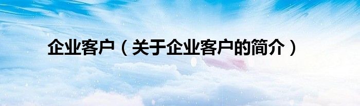 企業(yè)客戶（關于企業(yè)客戶的簡介）