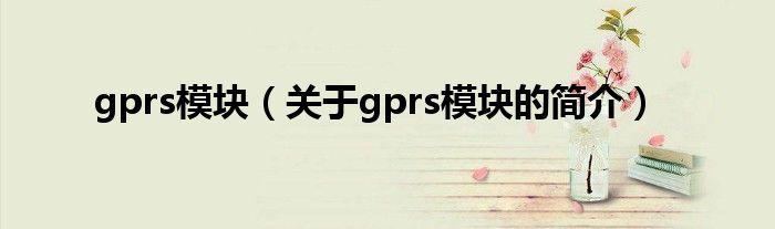 gprs模塊（關(guān)于gprs模塊的簡介）