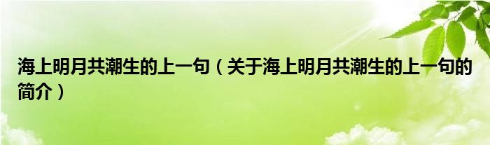 海上明月共潮生的上一句（關(guān)于海上明月共潮生的上一句的簡介）