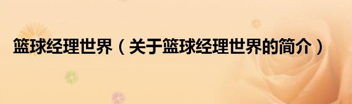 籃球經(jīng)理世界（關(guān)于籃球經(jīng)理世界的簡(jiǎn)介）