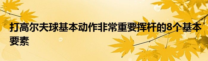 打高爾夫球基本動作非常重要揮桿的8個(gè)基本要素