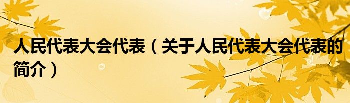 人民代表大會代表（關(guān)于人民代表大會代表的簡介）