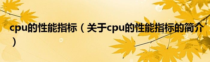 cpu的性能指標（關(guān)于cpu的性能指標的簡介）