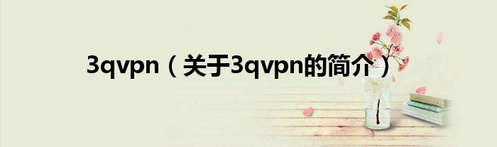 3qvpn（關(guān)于3qvpn的簡(jiǎn)介）