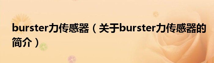 burster力傳感器（關(guān)于burster力傳感器的簡(jiǎn)介）