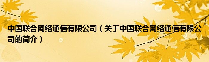 中國(guó)聯(lián)合網(wǎng)絡(luò)通信有限公司（關(guān)于中國(guó)聯(lián)合網(wǎng)絡(luò)通信有限公司的簡(jiǎn)介）