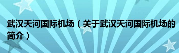 武漢天河國際機場（關(guān)于武漢天河國際機場的簡介）