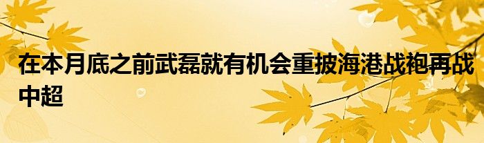 在本月底之前武磊就有機(jī)會(huì)重披海港戰(zhàn)袍再戰(zhàn)中超