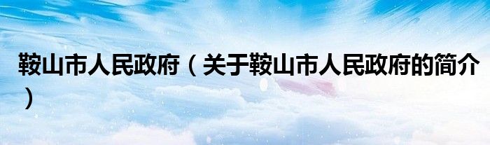 鞍山市人民政府（關(guān)于鞍山市人民政府的簡介）