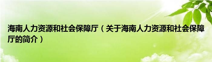 海南人力資源和社會(huì)保障廳（關(guān)于海南人力資源和社會(huì)保障廳的簡(jiǎn)介）