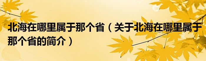 北海在哪里屬于那個?。P(guān)于北海在哪里屬于那個省的簡介）