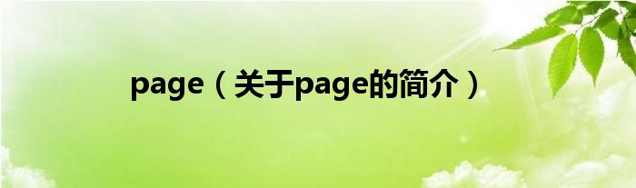 page（關(guān)于page的簡介）