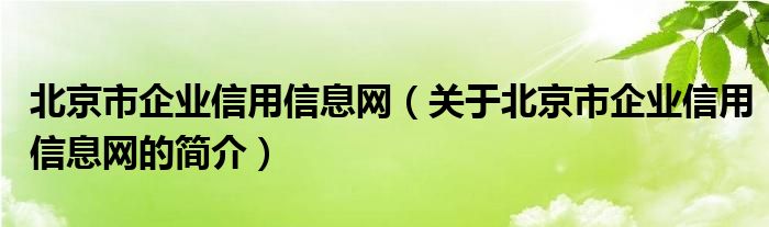 北京市企業(yè)信用信息網（關于北京市企業(yè)信用信息網的簡介）