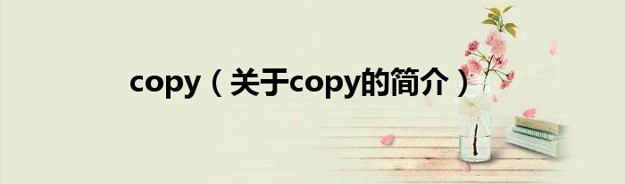 copy（關(guān)于copy的簡介）