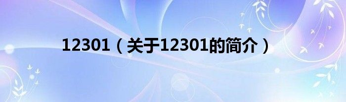 12301（關(guān)于12301的簡(jiǎn)介）