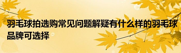 羽毛球拍選購(gòu)常見(jiàn)問(wèn)題解疑有什么樣的羽毛球品牌可選擇