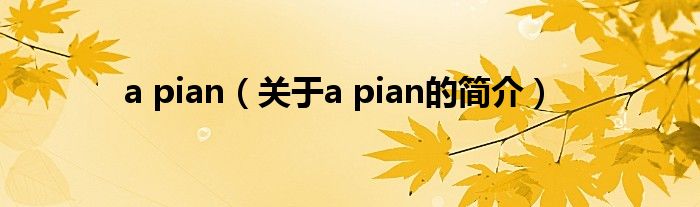 a pian（關(guān)于a pian的簡介）