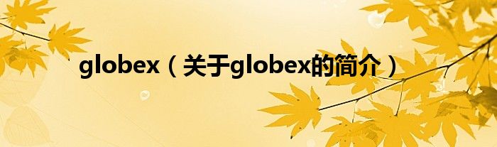 globex（關于globex的簡介）