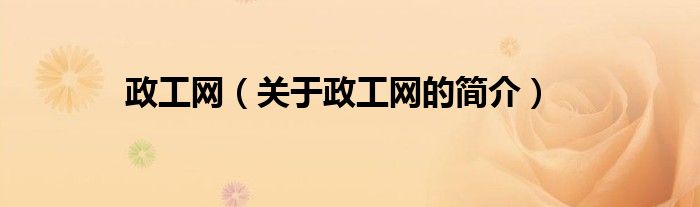 政工網(wǎng)（關(guān)于政工網(wǎng)的簡(jiǎn)介）