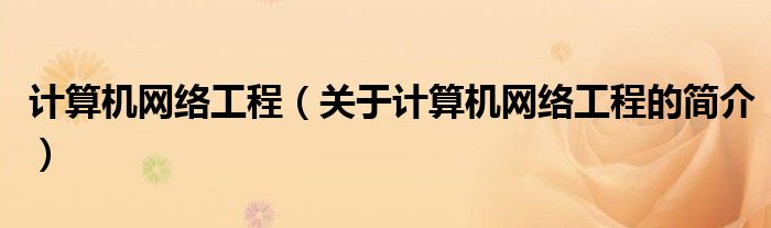 計算機網絡工程（關于計算機網絡工程的簡介）