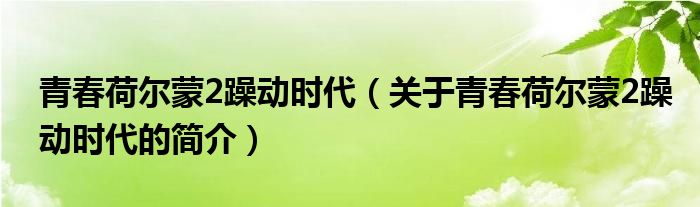 青春荷爾蒙2躁動(dòng)時(shí)代（關(guān)于青春荷爾蒙2躁動(dòng)時(shí)代的簡(jiǎn)介）