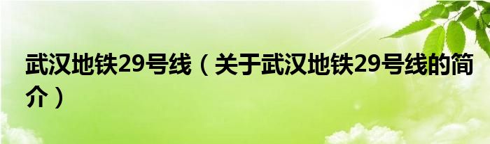 武漢地鐵29號線（關(guān)于武漢地鐵29號線的簡介）