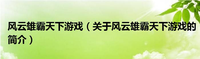 風(fēng)云雄霸天下游戲（關(guān)于風(fēng)云雄霸天下游戲的簡介）