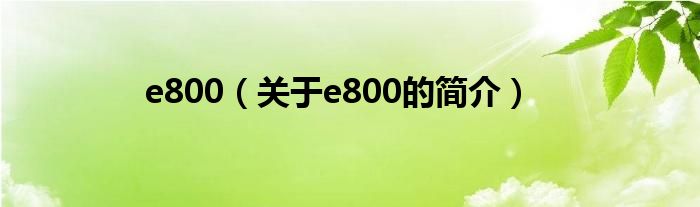 e800（關于e800的簡介）