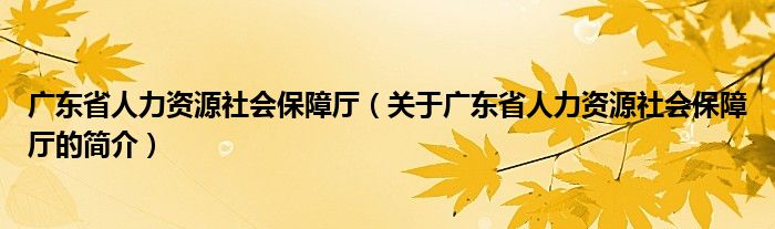 廣東省人力資源社會(huì)保障廳（關(guān)于廣東省人力資源社會(huì)保障廳的簡(jiǎn)介）