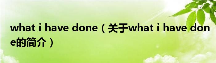 what i have done（關(guān)于what i have done的簡(jiǎn)介）