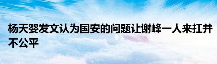 楊天嬰發(fā)文認(rèn)為國(guó)安的問題讓謝峰一人來(lái)扛并不公平