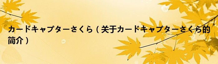 カードキャプターさくら（關(guān)于カードキャプターさくら的簡介）