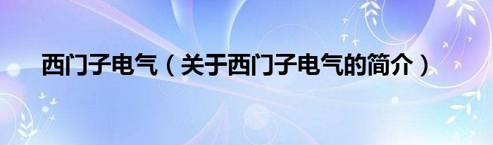 西門子電氣（關(guān)于西門子電氣的簡(jiǎn)介）